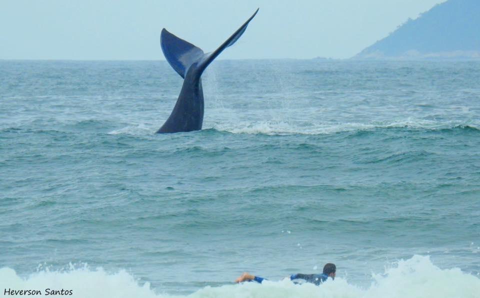 Tranquilidade Na Praia Da Gamboa กาโรปาบา ภายนอก รูปภาพ